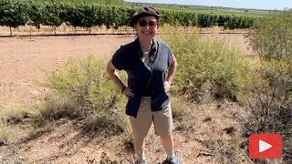 Laura Catena on the biodiversity and culture of the vineyards of Mendoza [upl. by Weihs858]