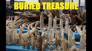 Frozen Fortunes The Hidden Wealth in Mammoth Tusks [upl. by Stockmon]