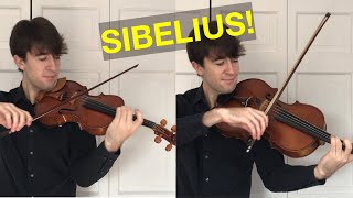 Violin vs Viola Playing the Same Pieces [upl. by Felicie896]