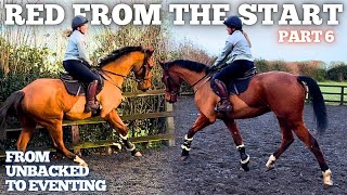 FIRST CANTER amp CLIP  Riding away with my newly backed 4 year old  Training my Young Horse [upl. by Yecaj83]