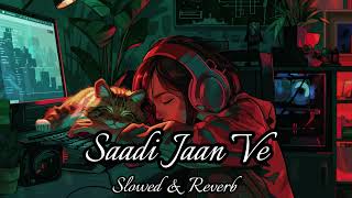 Pav Dharia  Saadi Jaan Ve  Slowed amp Reverb  latest Punjabi songs 2024  Music Magic [upl. by Eelaroc]