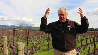 How was Napa Valley formed Napa Geology with David Howell [upl. by Akemrej]