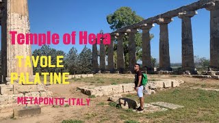 Temple of Hera metapontoTavole palatineItaly [upl. by Yurt]