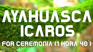 AYAHUASCA  ICAROS for Ceremony 1hr 40 Duration [upl. by Viguerie114]