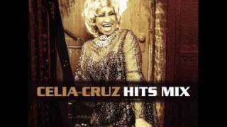 Celia Cruz La Vida Es Un Carnaval ReggaeLatino Mix [upl. by Merideth]