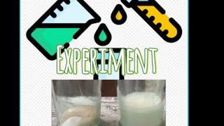 Social experiment chemical changes so cool reaction [upl. by Modeerf]