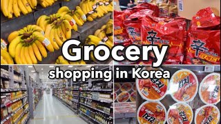 🇰🇷Grocery Shopping in Korea  Lotte Mart with Prices  Korean Supermarket [upl. by Dihaz]