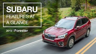 2019 Subaru Forester  Features at a Glance [upl. by Elden948]