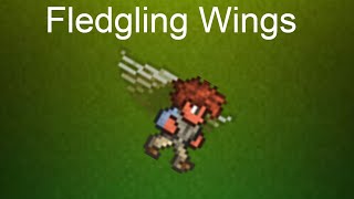 Terraria How to Get Fledgling Wings  1423 Only [upl. by Karrie]