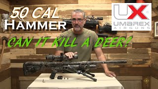 Can The Umarex Airguns 50 cal Hammer kill A Deer [upl. by Nolyaw868]