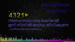 Aradhichidam Kumbittaradhichidam  Karaoke  MG Sreekumar  Devotional [upl. by Ayotas821]