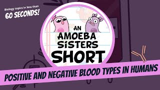 Positive and Negative Blood Types  Amoeba Sisters Shorts [upl. by Raamal]