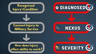 LIVE The 3 Goals of a C amp P Exam [upl. by Aciruam67]