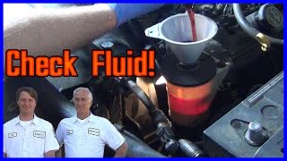 How to Check and Add Power Steering Fluid EASY [upl. by Yxor786]