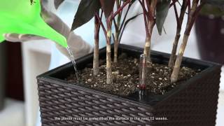 How to Use Self Watering Planters [upl. by Diana]