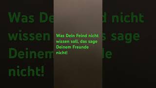 Rapunzula‘s Spruch 160 [upl. by Kirsten]