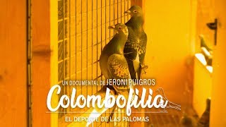 Colombofilia el deporte de las palomas [upl. by Hannibal]