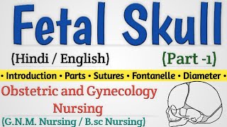 Fetal Skull In Hindi  Fetal Skull Nursing Lecture  Fetal Skull Diameters Part 1 [upl. by Meit]