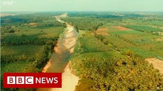 River Stories Cauvery river  BBC News [upl. by Kennie]