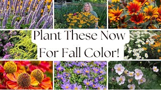 13 Perennial Plants Youre Probably Not Growing But Should Be For Vibrant Late Summer amp Fall Color [upl. by Peih]