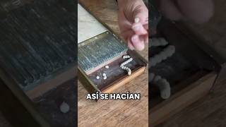 Así se hacían las pastillas en el sXVIII￼ [upl. by Azeret221]