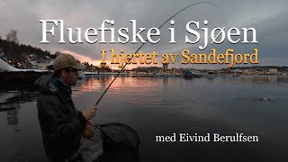 Fluefiske i sjøen Episode 2  2019 I hjertet av Sandefjord Med Fluefiskern Eivind Berulfsen [upl. by Billi]