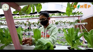 Pantnagar Hydroponic and Aeroponic Unit [upl. by Roche]