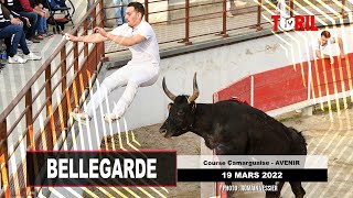 Bellegarde 19032022  Retour en vidéo sur la course camarguaise [upl. by Gerge]