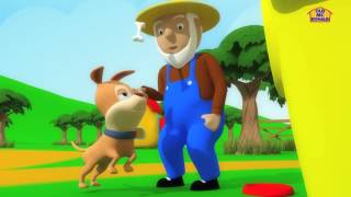 Old MacDonald Had A Farm Nursery Rhymes Songs For Childrens [upl. by Edgell435]