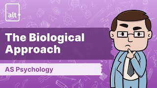 Overview Hassett et al  The Biological Approach  A Level Psychology 9990 [upl. by Madian427]