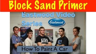 Block Sanding Primer Eastwood Mustang Project [upl. by Nerine]