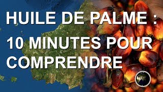 HUILE DE PALME  10 MINUTES POUR COMPRENDRE [upl. by Cappello591]