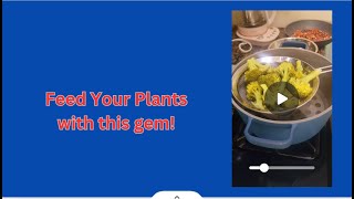 Don’t Waste This Hidden Plant Fertilizer in Your Kitchen [upl. by Benil183]