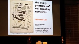 Wendell Lim at ICSB 2013 pt 33 [upl. by Galanti]