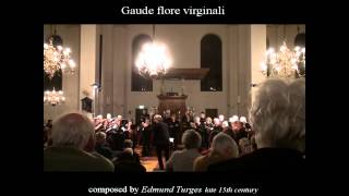 Gaude Flore Virginali  Edmund Turges  Eton Choirbook  Projectkoor 023  Haarlem [upl. by Ignazio744]