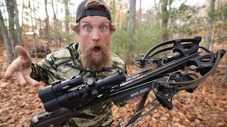 The New Viper 430 Crossbow  Unboxing and Testing [upl. by Nerti116]