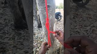 how to tie a truckers hitch [upl. by Hsihsa]