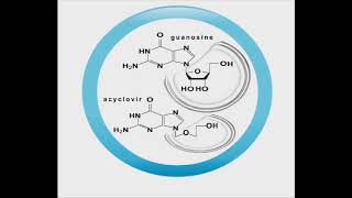 Antiviral animation Acyclovir [upl. by Elisabetta]