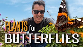 Make Butterflies Swarm to Your Garden with these Plants Plus Attract other Beneficial Wildlife [upl. by Akkinahs]