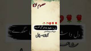 Saraiki poetry  poetry in saraiki [upl. by Rycca]