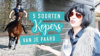 5 soorten kopers van je paard  SKETCH [upl. by Nibot]