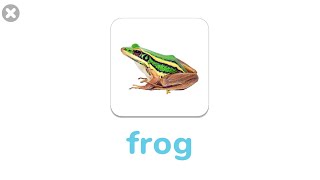 New words Bat Frog  Animals names and sounds  Learn English for Kids [upl. by Yhtir]