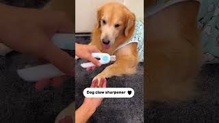 Pawsome nail grooming made easy 🐾✨ [upl. by Hnirt]