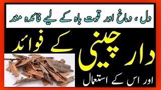 Daar Cheeni Ke Fawaid ur us ke istemal  Health Benefits Of Cinnamon By Hakeem Zia Shahid [upl. by Kaete]