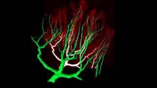 3D visualization of a Neuron [upl. by Akerahs]