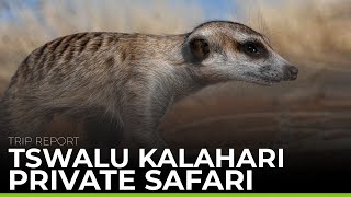 Tswalu Kalahari Private Safari  TRIP REPORT [upl. by Asaeret]