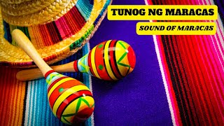 Tunog ng MARACAS  Sound of MARACAS [upl. by Niarfe]