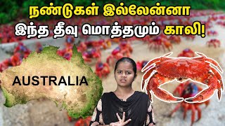 How red crabs save Australian island from destruction  Red crabs migration explained in Tamil [upl. by Eissalc]