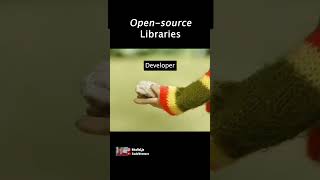 open source libraries coding programming javascript python [upl. by Ella541]