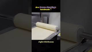 Are Frozen Dumplings Handmade  🤷‍♂️ shortvideo viralvideo food airplanechefs [upl. by Jd]